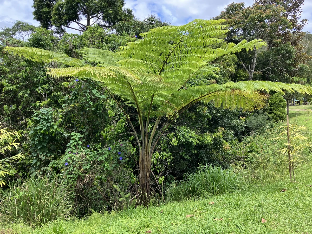 Actualité numéro 375